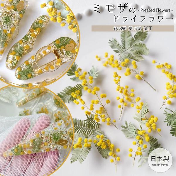 隠れ工房GreenOcean ドライフラワー 国産 ミモザ 花と葉 小分け