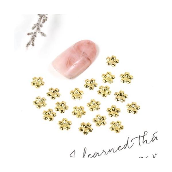 ^p[c lCTCY  lCp[c  TN  t[ t lCA[g WFlC fR W lCpi ꂢ߃S[h