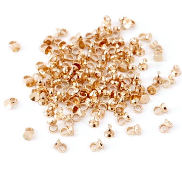 greenocean_26134-g_5_d_20241205190904