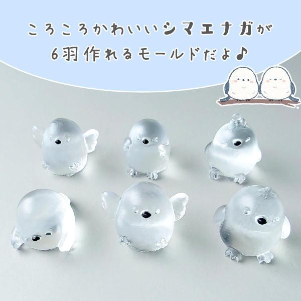 greenocean_28268-g_2_d_20260205134515