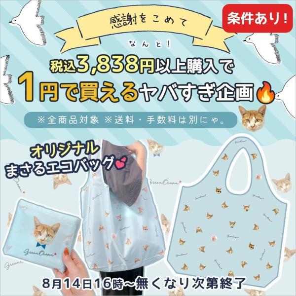 □条件あり！ 商品計税込3838円以上でまさるエコバッグが1円で買え