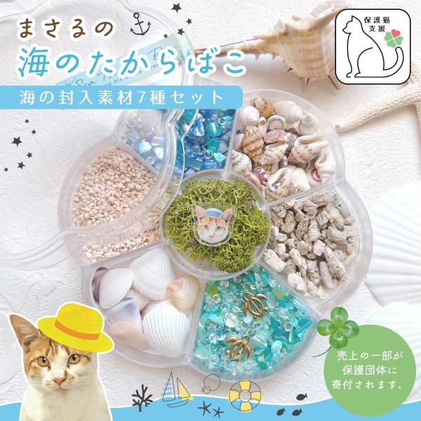 隠れ工房GreenOcean 封入 まさるの海のたからばこ 封入7種セット