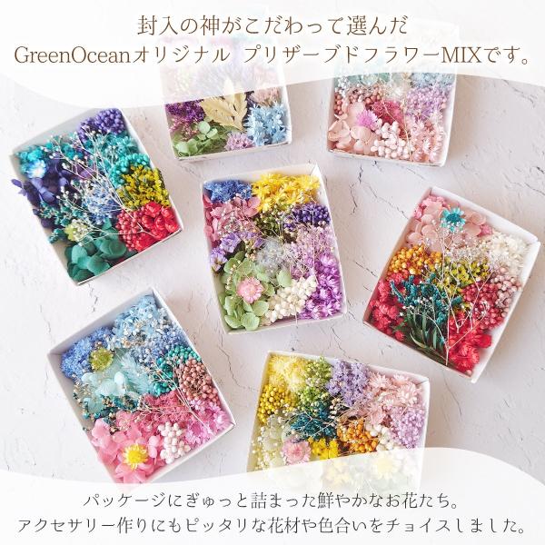 greenocean_48374-g_1_d_20250121120135