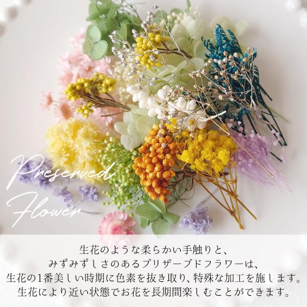 greenocean_48374-g_3_d_20250121120136