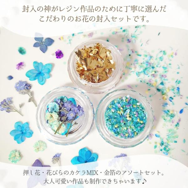 ドライフラワー レジンのためのフラワーセット 押し花 金箔 花びらのカ