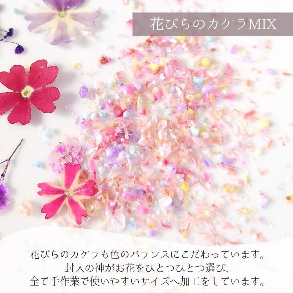 ドライフラワー レジンのためのフラワーセット 押し花 金箔 花びらのカ
