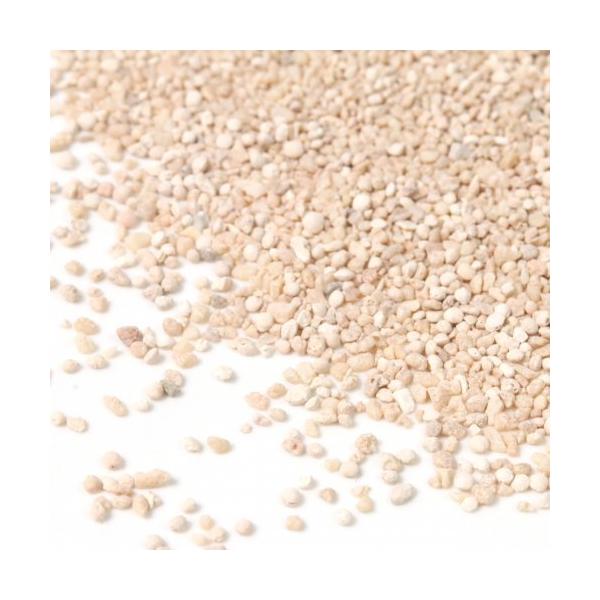 封入素材 20g （1mm程度） サンゴのかけらと海の砂 : 隠れ工房