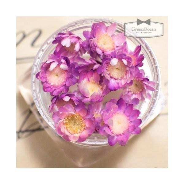 ドライフラワー 15輪 単色 ちいさなスターフラワー キャンディーパープル 小花 プリザーブドフラワー 花材 Flower 花 B 4919 隠れ工房 Greenocean 通販 Yahoo ショッピング