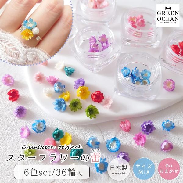 隠れ工房GreenOcean □福袋 6色36輪 カラーお任せ(^^♪つぼみが可愛い