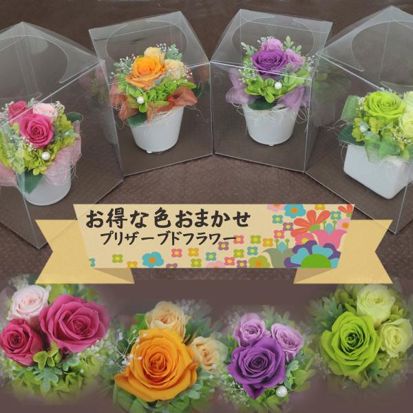 【特価】プリザーブドフラワー3000タイプ ,ギフト、お祝い等のプレゼントに! :pr-ora00001:花と緑のグリーンピア - 通販 - Yahoo!ショッピング 【特価】プリザーブドフラワー3000タイプ ,ギフト、お祝い等のプレゼントに! :pr-ora00001:花と緑のグリーンピア - 通販 - Yahoo!ショッピング