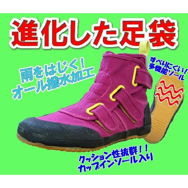 進化した足袋 おしゃれ足袋 送料込 Buyee Buyee 日本の通販商品 オークションの代理入札 代理購入