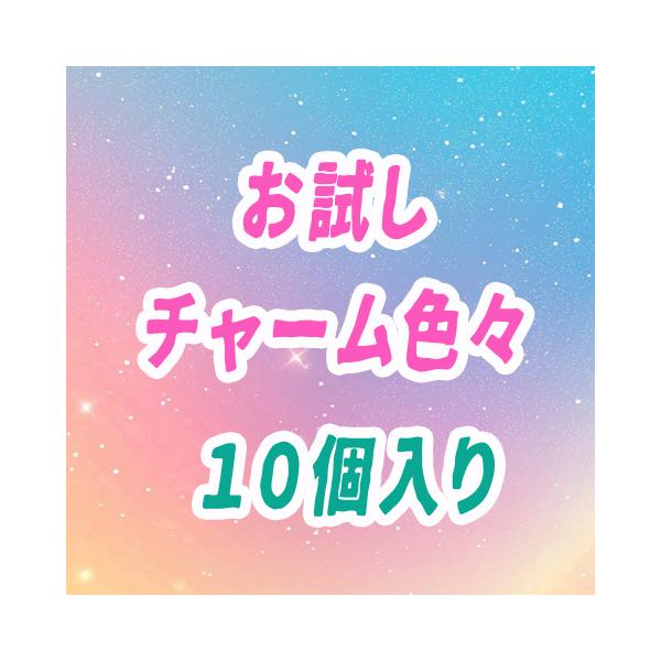 お試しチャームセット いろんなチャームが入ってます 10個入り 当日
