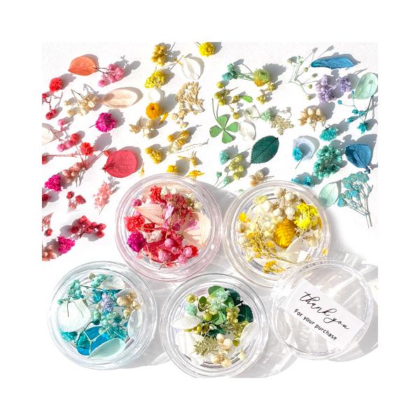 ちぁ〜ん様◆【ドライフラワー】小花つぼみ mix（673 レジン パーツ ） 182cec12185c0fd708c7795752451f