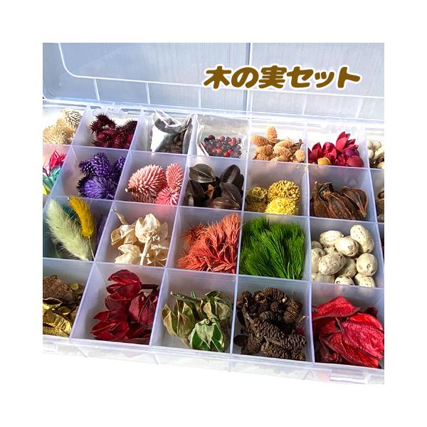 木の実 植物 ドライフラワー アソート ミックス ハーバリウム