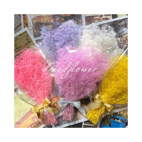 ■商品内容数　量：1束長　さ：30〜35cm程度レジンやネイルにも使える小さいカスミソウです。花瓶に飾ったり、そのまま吊り下げて飾ってもいいね！！母の日のプレゼントに添えたりしてもいいね♪※こちらの商品は「最大1セットまで」ゆうパケット便発...