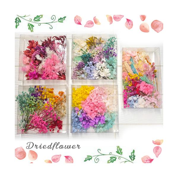 ※こちらの商品は宅配便発送となります。■商品内容※スタッフおまかせの商品になります！画像はイメージになります。数　量：1箱※形の崩れている物、色ムラがある物も入ります。※ドライフラワーは天然のものですので、花の大きさ開き、色にばらつきがあり...
