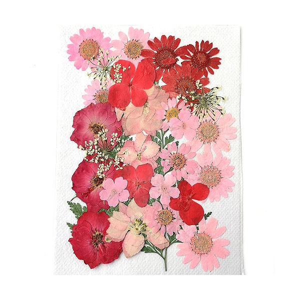 ★13時までにお支払いを完了したご注文分は当日発送致します★※ご注意※・13時以降のご注文は翌日発送でございます。・当店休業日（土日祝日）期間のご注文は発送対象外です。・商品に［★当日発送★］の記載がない商品も合わせてご注文の場合は当日発送...