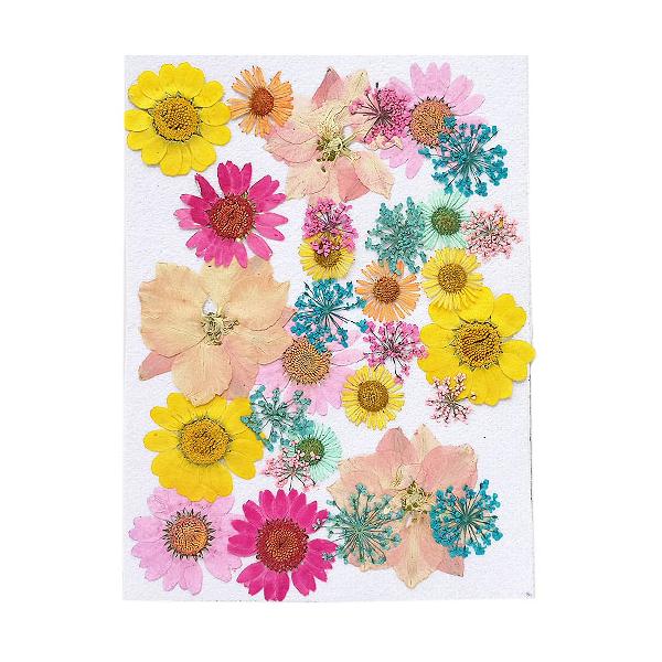 ★13時までにお支払いを完了したご注文分は当日発送致します★※ご注意※・13時以降のご注文は翌日発送でございます。・当店休業日（土日祝日）期間のご注文は発送対象外です。・商品に［★当日発送★］の記載がない商品も合わせてご注文の場合は当日発送...