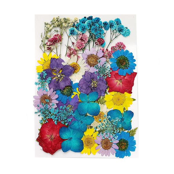 ★13時までにお支払いを完了したご注文分は当日発送致します★※ご注意※・13時以降のご注文は翌日発送でございます。・当店休業日（土日祝日）期間のご注文は発送対象外です。・商品に［★当日発送★］の記載がない商品も合わせてご注文の場合は当日発送...