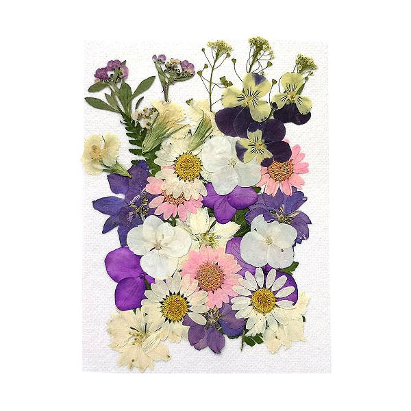 ★13時までにお支払いを完了したご注文分は当日発送致します★※ご注意※・13時以降のご注文は翌日発送でございます。・当店休業日（土日祝日）期間のご注文は発送対象外です。・商品に［★当日発送★］の記載がない商品も合わせてご注文の場合は当日発送...