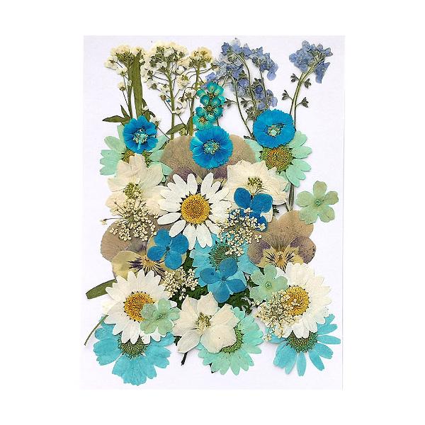 押し花　美品 押し花 ミックス ブルー・ホワイト系 14×10cmサイズ 1枚 2209
