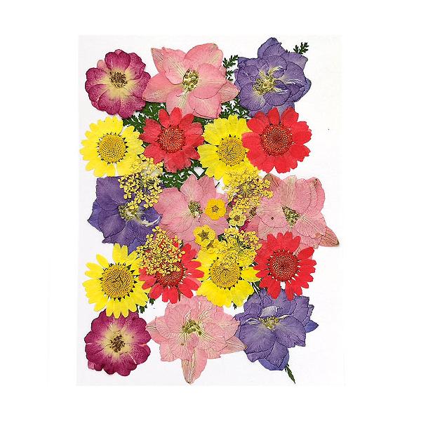 ★13時までにお支払いを完了したご注文分は当日発送致します★※ご注意※・13時以降のご注文は翌日発送でございます。・当店休業日（土日祝日）期間のご注文は発送対象外です。・商品に［★当日発送★］の記載がない商品も合わせてご注文の場合は当日発送...