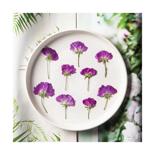 ★13時までにお支払いを完了したご注文分は当日発送致します★※ご注意※・13時以降のご注文は翌日発送でございます。・当店休業日（土日祝日）期間のご注文は発送対象外です。・商品に［★当日発送★］の記載がない商品も合わせてご注文の場合は当日発送...