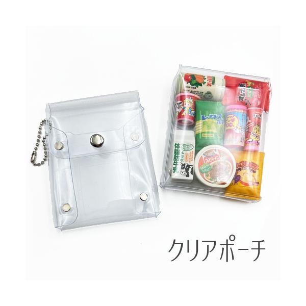 ピカピカ　ハンドメイド　中身が見えるクリアポーチ 通帳ケースサイズ ピカピカ様専用 ハンドメイド 中身が見えるクリアポーチ 通帳