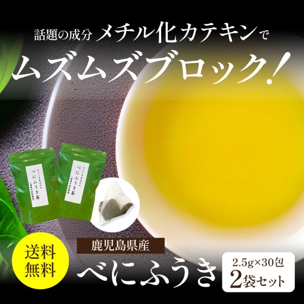 [Release date: December 26, 2024]花粉の季節の敏感なムズムズに！ メチル化カテキンを多く含む べにふうき 茶で手軽に新習慣！グリーンズロッジのべにふうき茶はティーバックなので茶殻も出ずに片付けやすい！茶葉 だ...