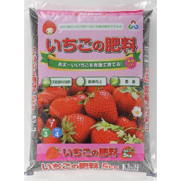 朝日工業 いちごの肥料 5kg 活力剤 Welzo Store 通販 Paypayモール