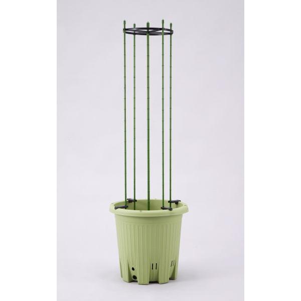 ナス 支柱 プランターの人気商品 通販 価格比較 価格 Com