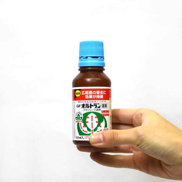 殺虫剤 Gfオルトラン液剤 100ml 住友化学園芸 Buyee Buyee Japanese Proxy Service Buy From Japan Bot Online