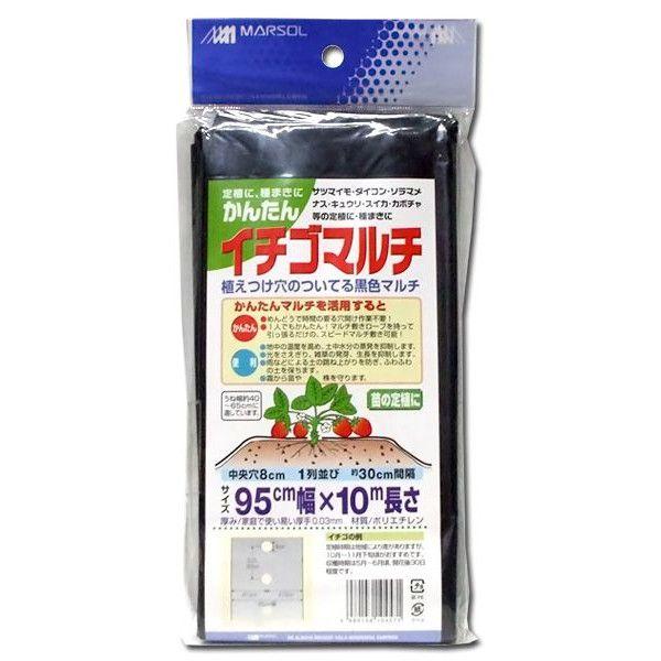 森下 かんたんイチゴマルチ 一列穴あき 0 95 10m 被覆資材 Welzo Store 通販 Paypayモール