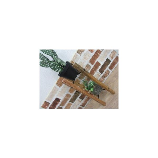 ACA×ؐ tH[fBO|bgX^hi41303jt[X^h/Jg[G݁EK[fjOEEWNK[fEAE