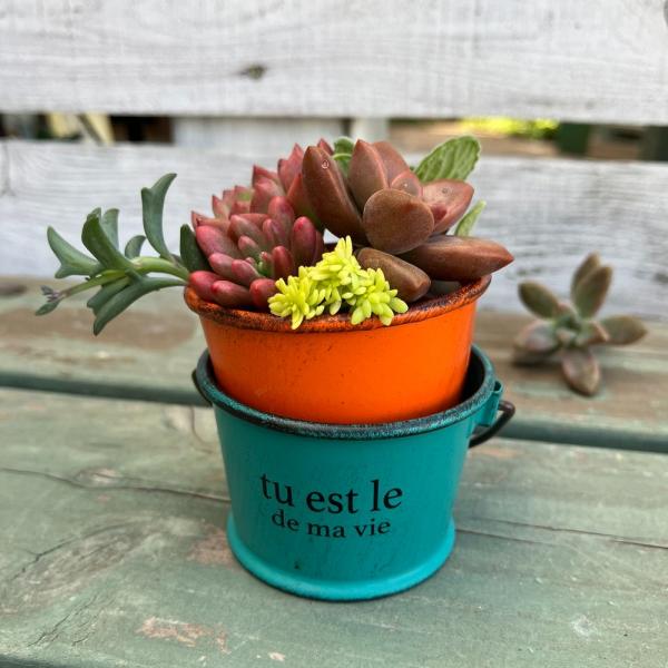 バケツ ポット ソーポット オレンジ（5E4197）穴あき/ミニ/プランター