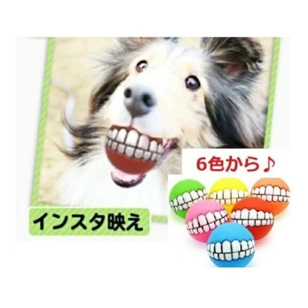 犬 おもちゃ ボール 音 壊れない 面白い 写真映え :kibabo-ru:grepoヤフー店 - 通販 - Yahoo!ショッピング