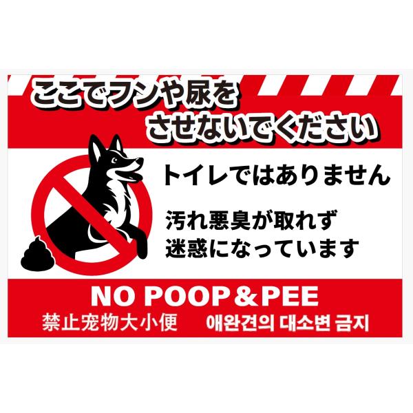 糞尿禁止 ステッカー シール ペット 散歩 30cm×20cm 通報 警告 看板 耐水 防水 耐候 si79
