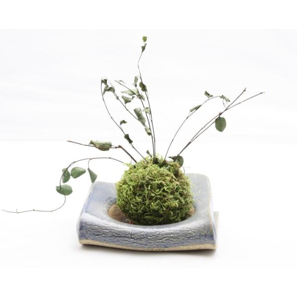 父の日 プレゼント 盆栽 苔玉 プリザーブドフラワー ギフト 誕生日 廣辻明人 コラボレーション 枯れない苔玉 水遣り不要 送料無料 苔玉 Buyee Servicio De Proxy Japones Buyee Compra En Japon