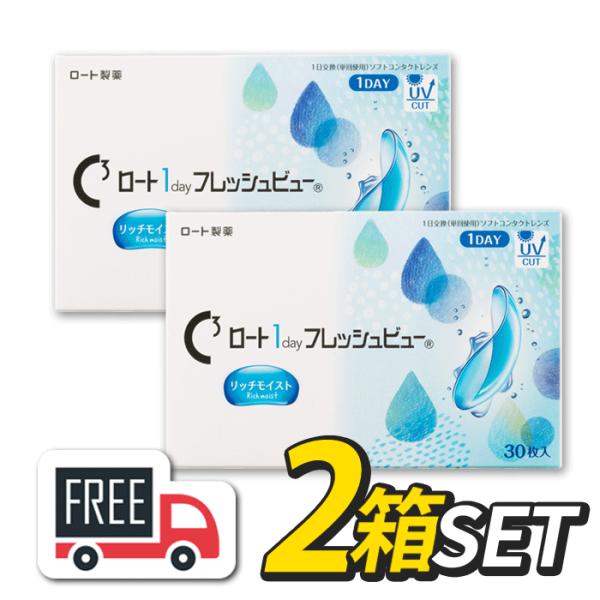 ロート ワンデーフレッシュビュー リッチモイスト 2箱（1箱30枚入）コンタクトレンズ 1日使い捨て 1day ポスト便 送料無料