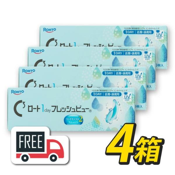 ロート ワンデーフレッシュビュー リッチモイスト2（1箱30枚入）4箱 コンタクトレンズ 1日使い捨て 1day ポスト便 送料無料