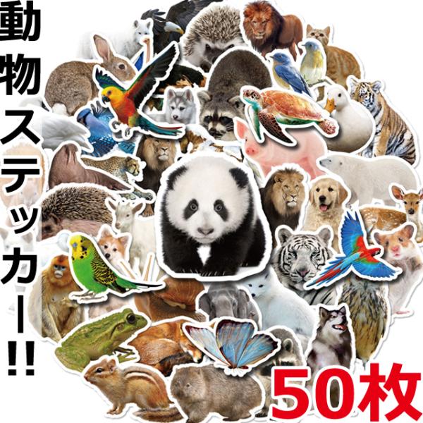 コNo.176＃ハロウィンアニマル(PET) コラージュステッカーシール動物