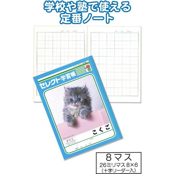 y܂Ƃߔ=P10zwK K-10-2  8}X w m[g 31-375(se2b622)