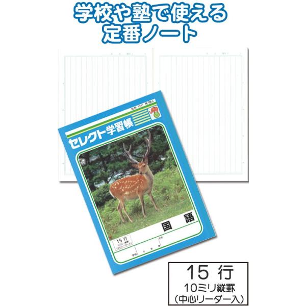 y܂Ƃߔ=P10zwK K-15-3  cr15sS[_[ w m[g 32-815(se2c017)