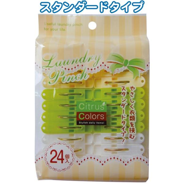 y܂Ƃߔ=P12zCitrus Colors h[s`24 38-811(se2c269)