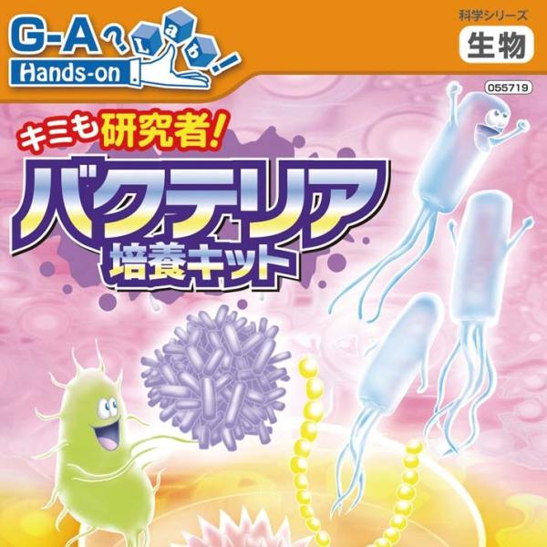 理科実験キット キミも研究者 バクテリア培養キット 自由研究 自由工作 ５年生 ６年生 高学年 At グルーヴプラン Yahoo 店 通販 Yahoo ショッピング