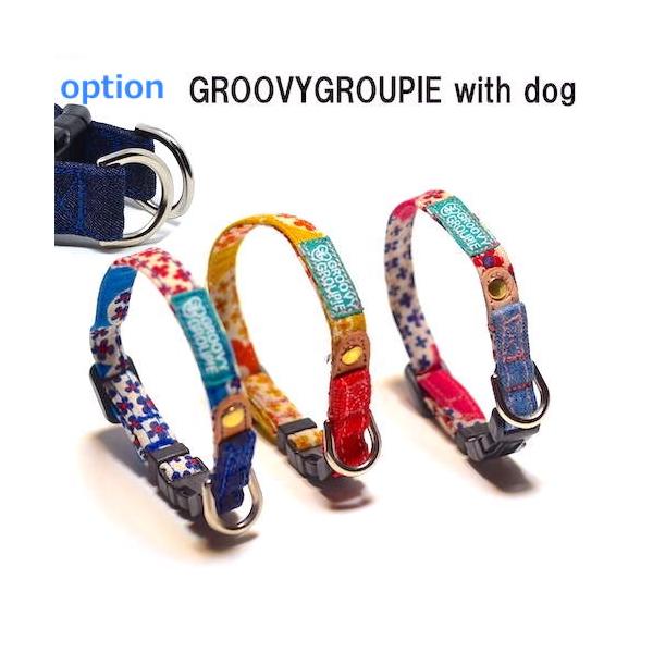 groovygroupie_dc32
