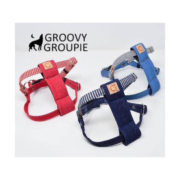 groovygroupie_th1m