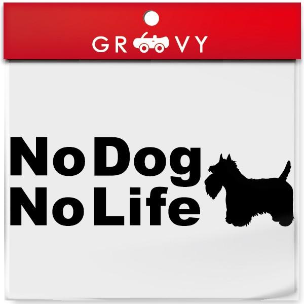 XReBVeA XebJ[ eA NO DOG NO LIFE  ybg  no music no life  ԗp VGbg V[