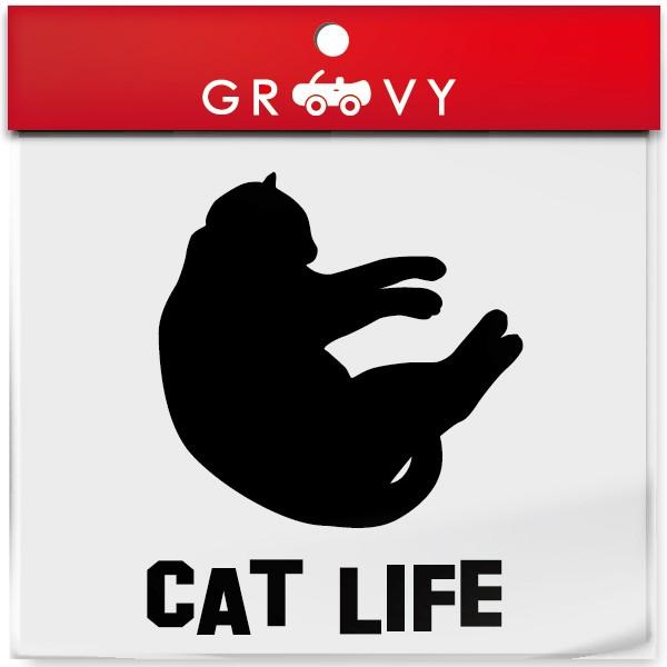 ۂȂ L  XebJ[ CAT LIFE L̐  LbgCt lR ˂ 킢  VGbg V[