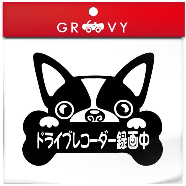 {XgeA  XebJ[ hCuR[_[^撆 ^] h~ ΍ h   Gu V[ uh ObY G 